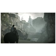 PS4 Shadow Of Colossus Game PS4 Shadow Of Colossus Game