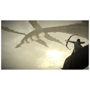 PS4 Shadow Of Colossus Game PS4 Shadow Of Colossus Game