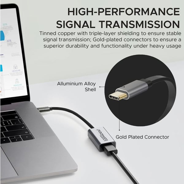 Promate Type C To HDMI Adapter Grey Promate Type C To HDMI Adapter Grey