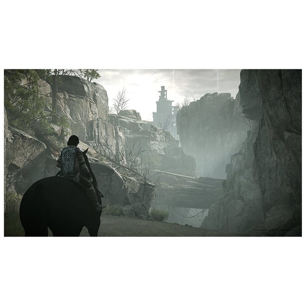 PS4 Shadow Of Colossus Game PS4 Shadow Of Colossus Game