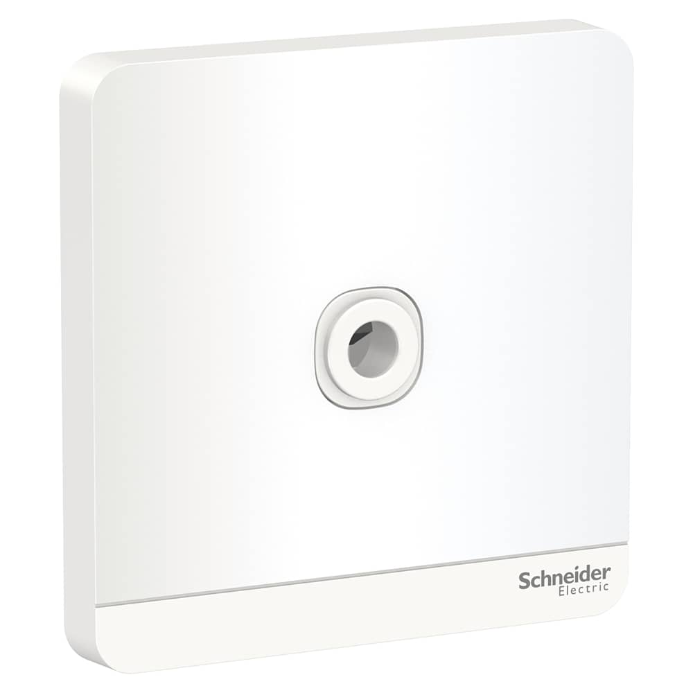 Schneider Electric E8331tb_we Avataron White - 25a 250v Connection Unit