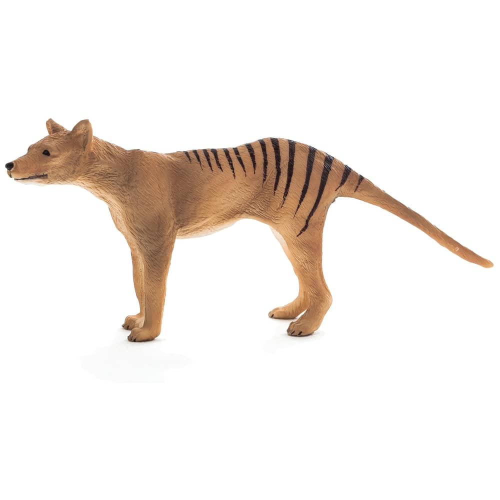 Mojo Animal Planet Thylacine Tasmanian Tiger Medium Mojo Animal Planet Thylacine Tasmanian Tiger Medium