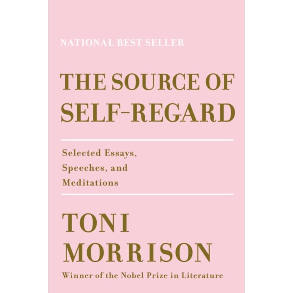 The Source Of Self-Regard: Selected Essays Speeches And Meditations