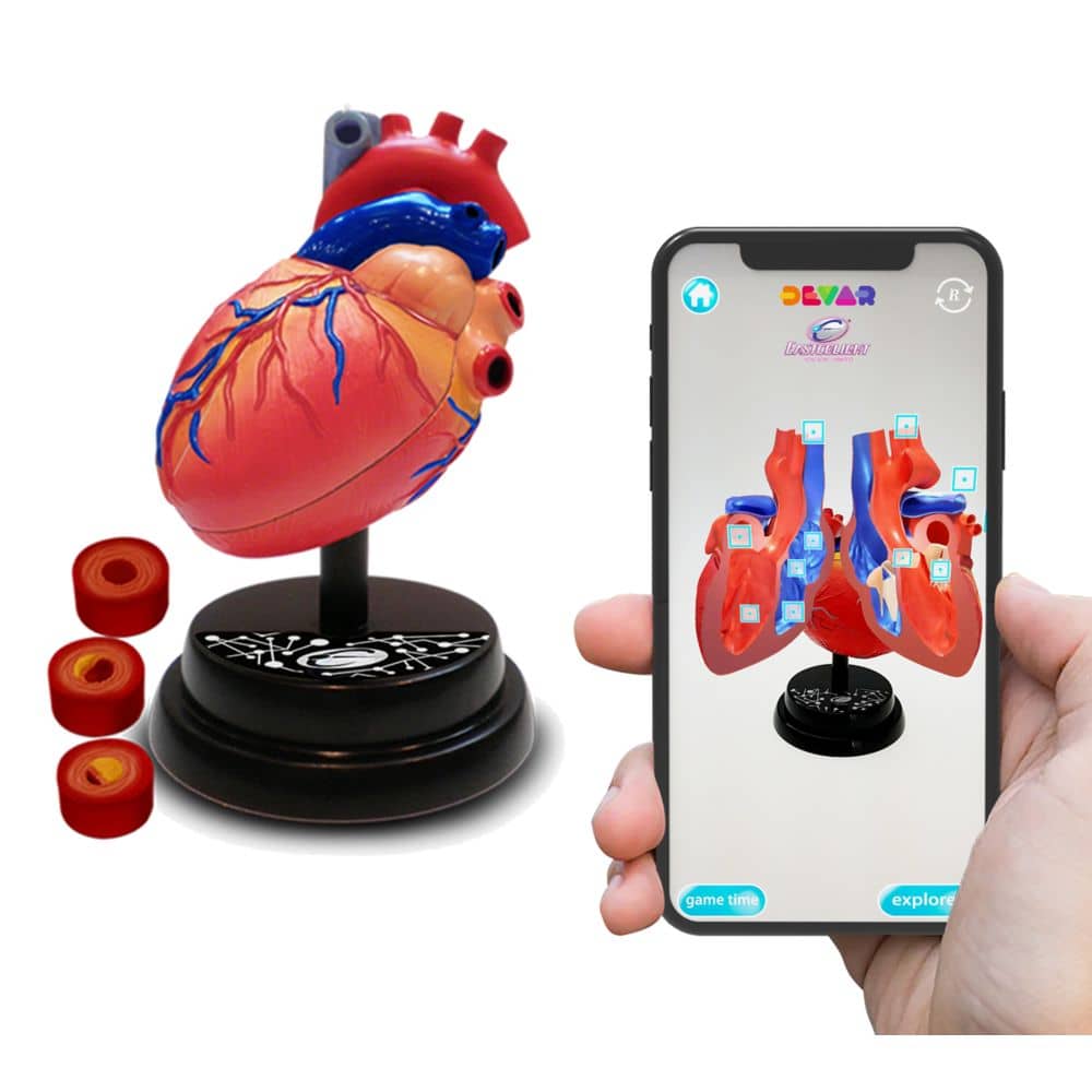 Eastcolight 35004 AR Cardiology Professional Model