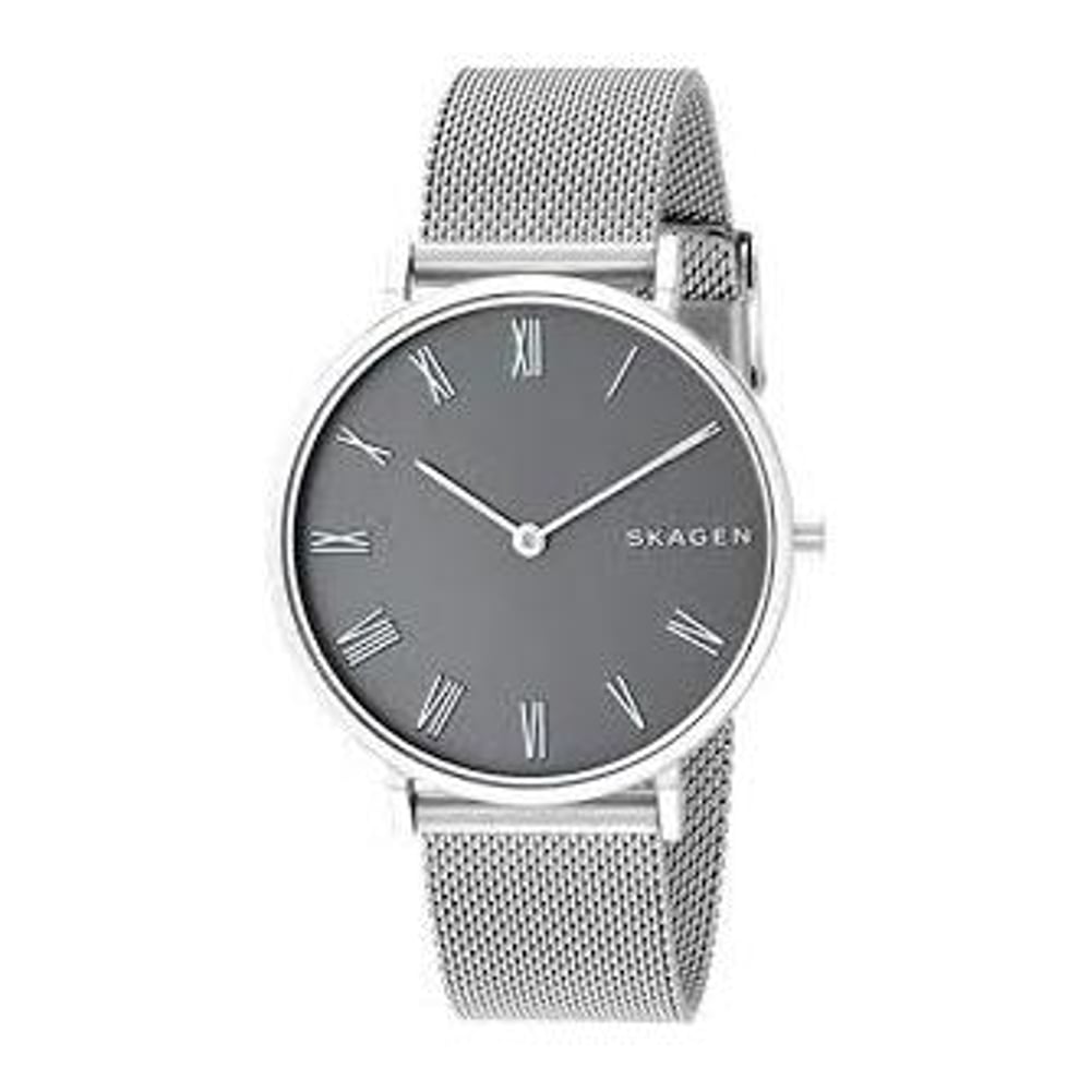 Skagen Hald Silver Mesh Women Watch SKW2677