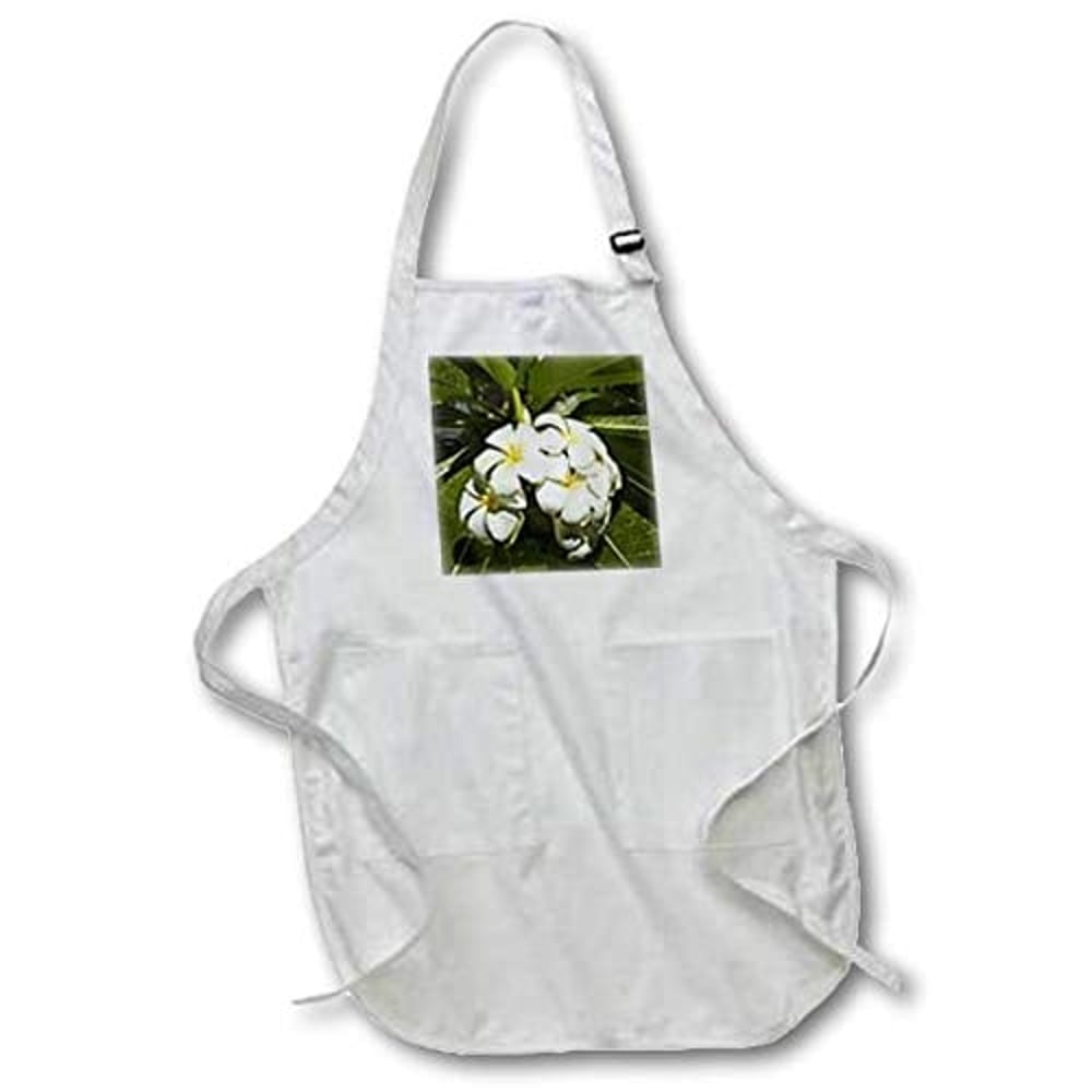 3Drose Frangipani Flowers, Nadi, Viti Levu, Fiji-Oc01 Dwa0322-David Wall-Medium Length Apron, 22 By 24 3Drose Frangipani Flowers, Nadi, Viti Levu, Fiji-Oc01 Dwa0322-David Wall-Medium Length Apron, 22 By 24