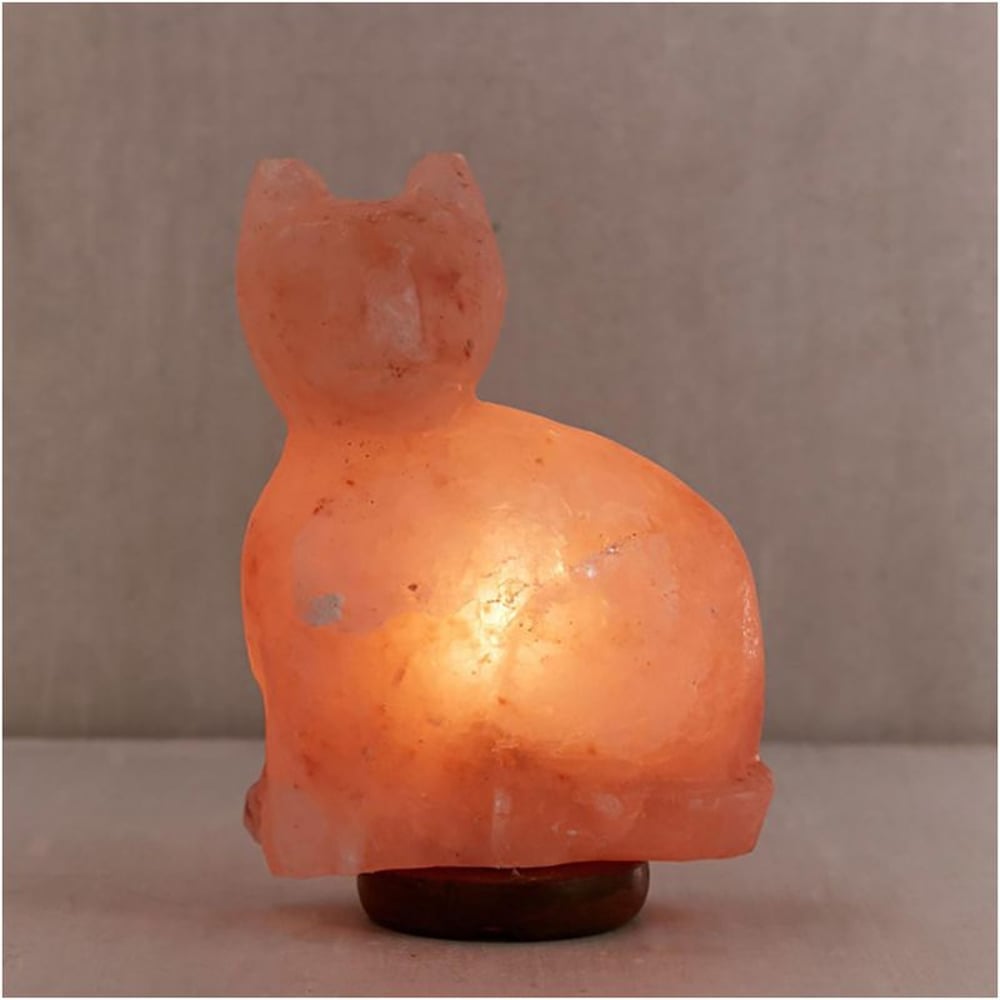 Himalayan Salt Animal Salt Lamp - Cat