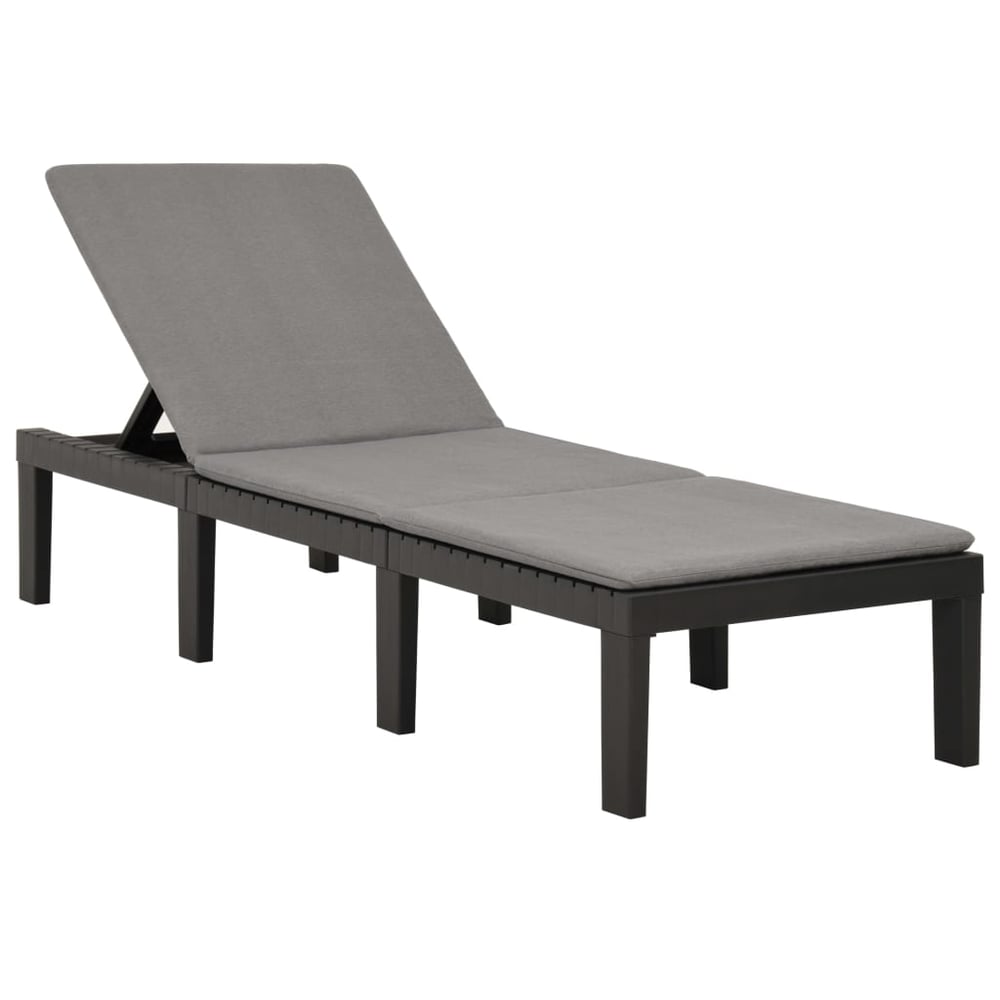 Vidaxl Sun Lounger With Cushion Plastic Anthracite Vidaxl Sun Lounger With Cushion Plastic Anthracite
