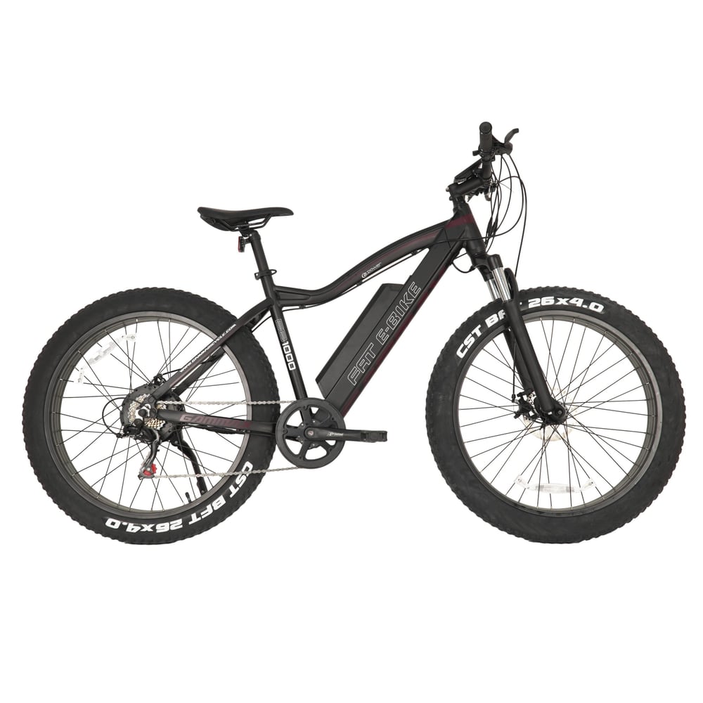 Gammax E Mountain Fat Bike 26 Inch, Black