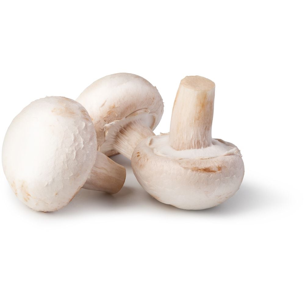 Fresh Vegetable Oman White Mushroom 250gm