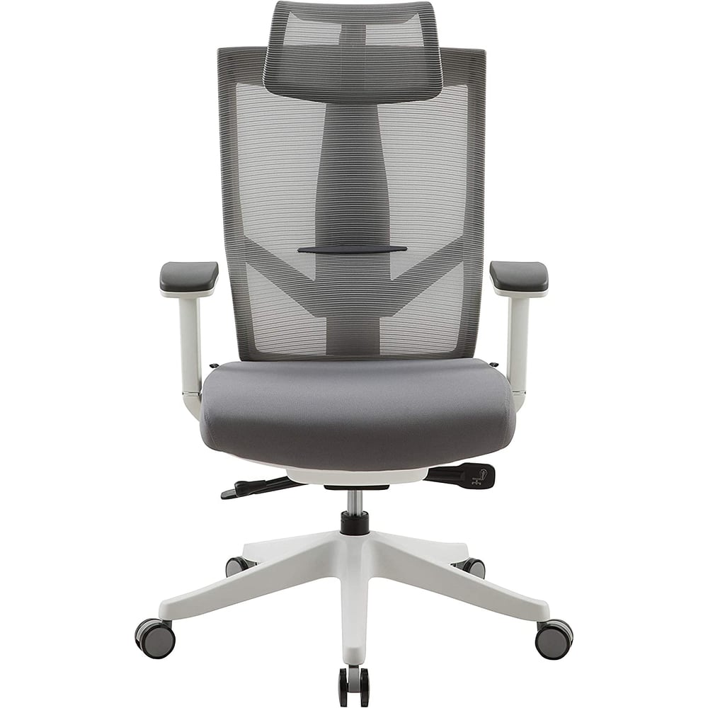 Navodesk Aero Chair Ergonomic Design Premium Office & Computer Chair With Multi-adjustable Features By Navodesk Light Gray Navodesk Aero Chair Ergonomic Design Premium Office & Computer Chair With Multi-adjustable Features By Navodesk Light Gray