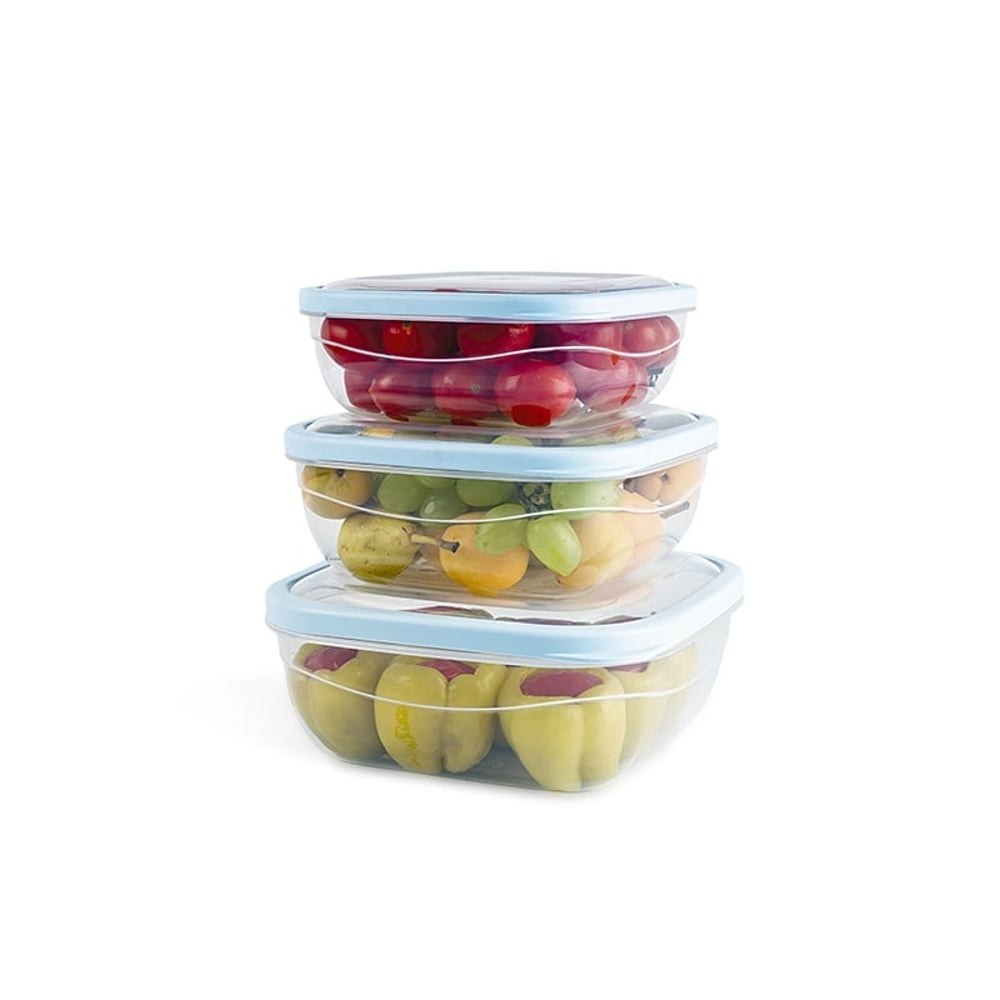 Elegant Square Food Savers ( Set Of 3)