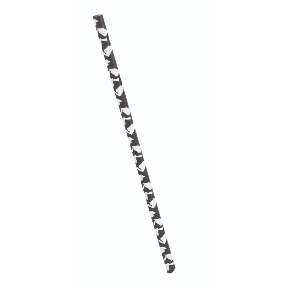 Unique- Graduation Paper Straws 10pcs Pcs