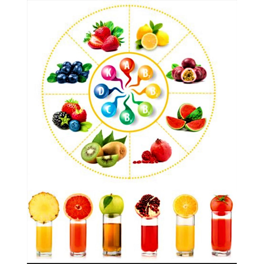 Lavish Kitchen Manual Pressing Smoothie Blender Juicer