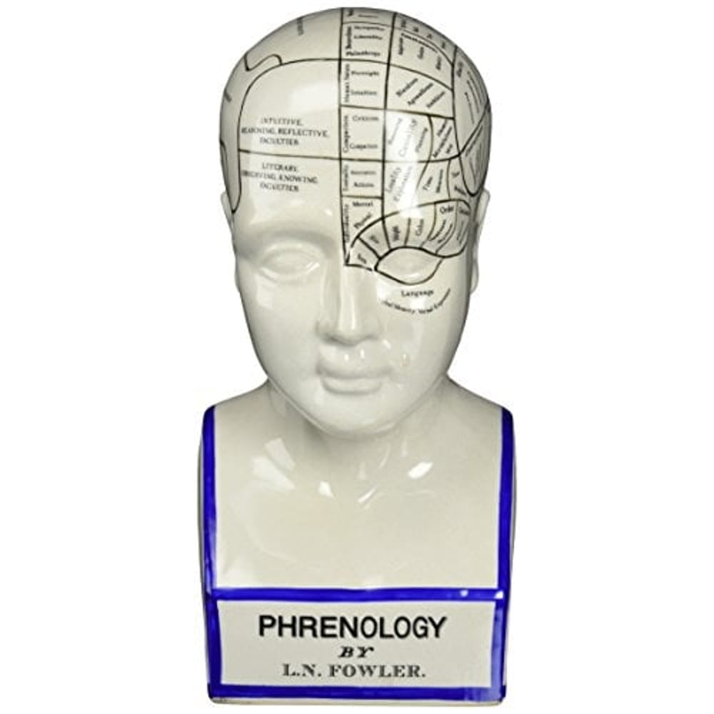 Design Toscano Sp020 Porcelain Phrenology Head Fortune Telling Statue, 12 Inch, Porcelain, White Design Toscano Sp020 Porcelain Phrenology Head Fortune Telling Statue, 12 Inch, Porcelain, White
