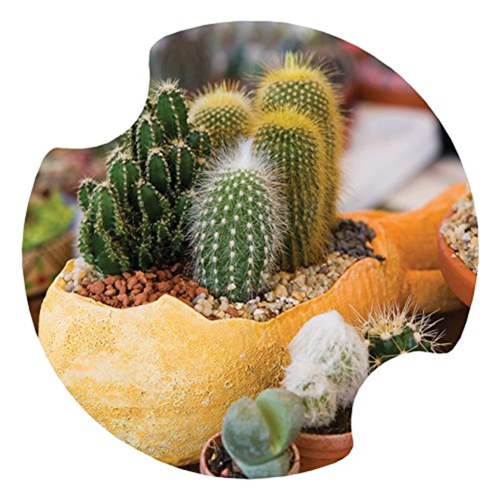 Thirstystone Carster Cactus Flower Pots Coasters, Multicolor