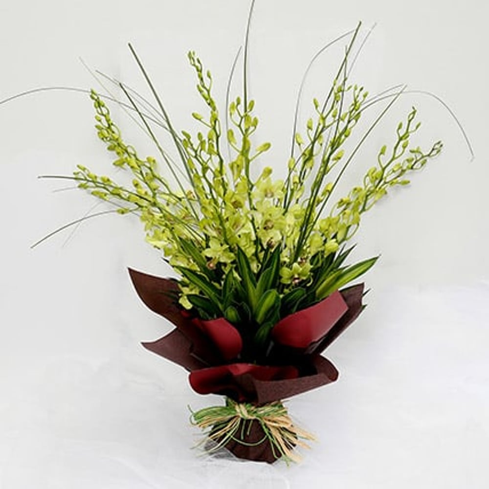 10 Green Mokara Orchids Bouquet 10 Green Mokara Orchids Bouquet