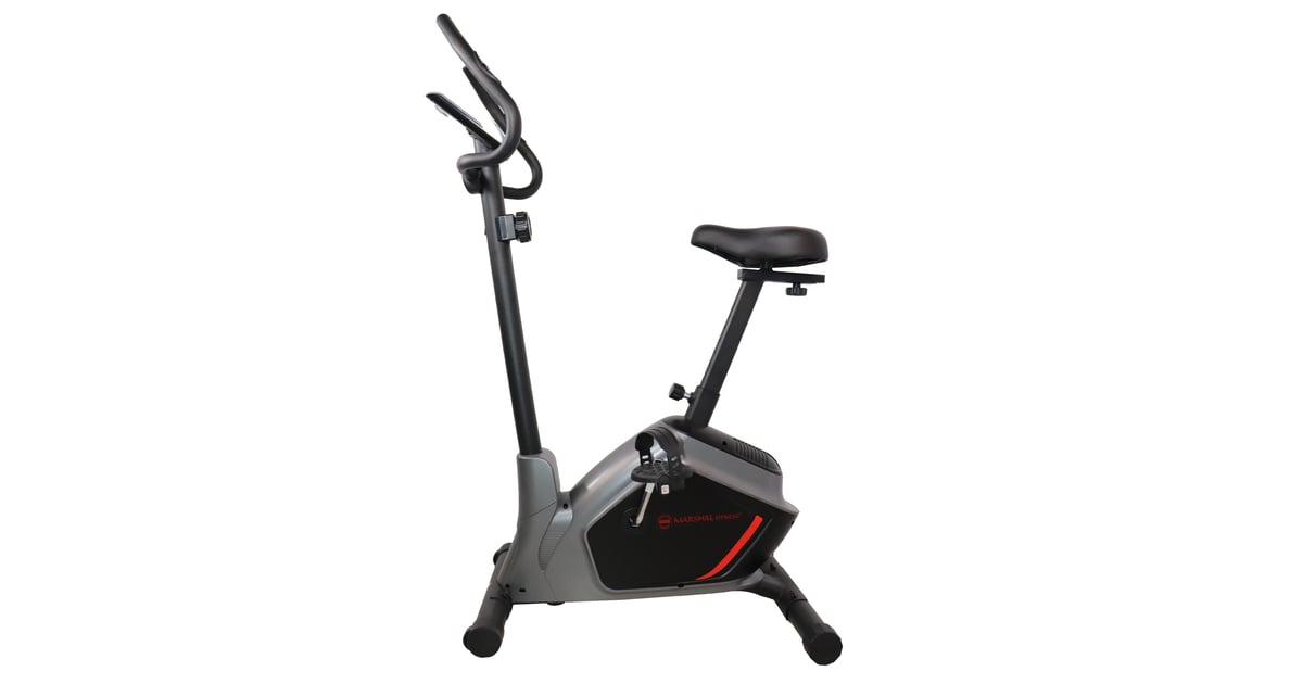 insight magnetic exercise bike