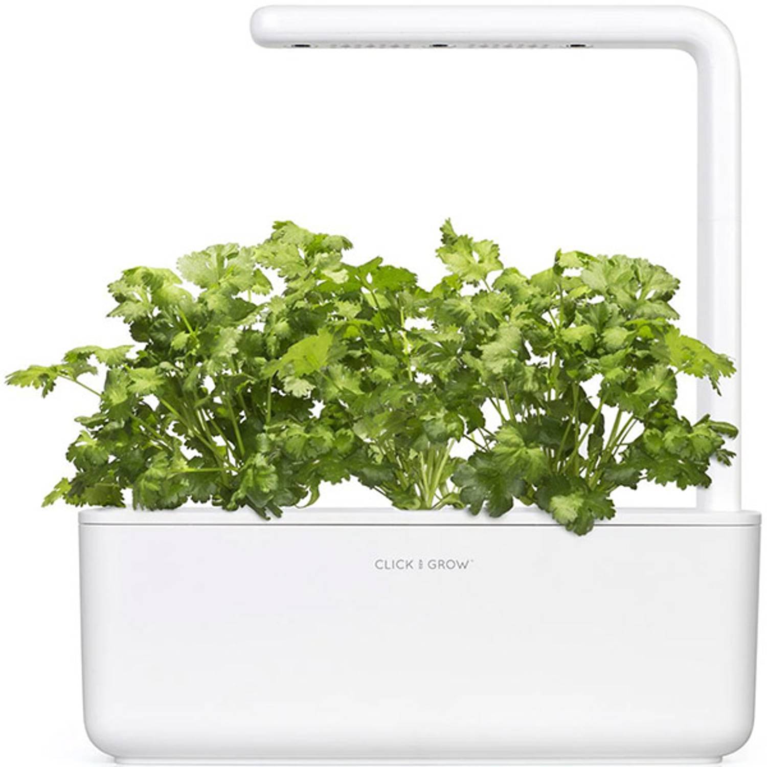 Click and Grow Coriander Plant Pods Click and Grow Coriander Plant Pods