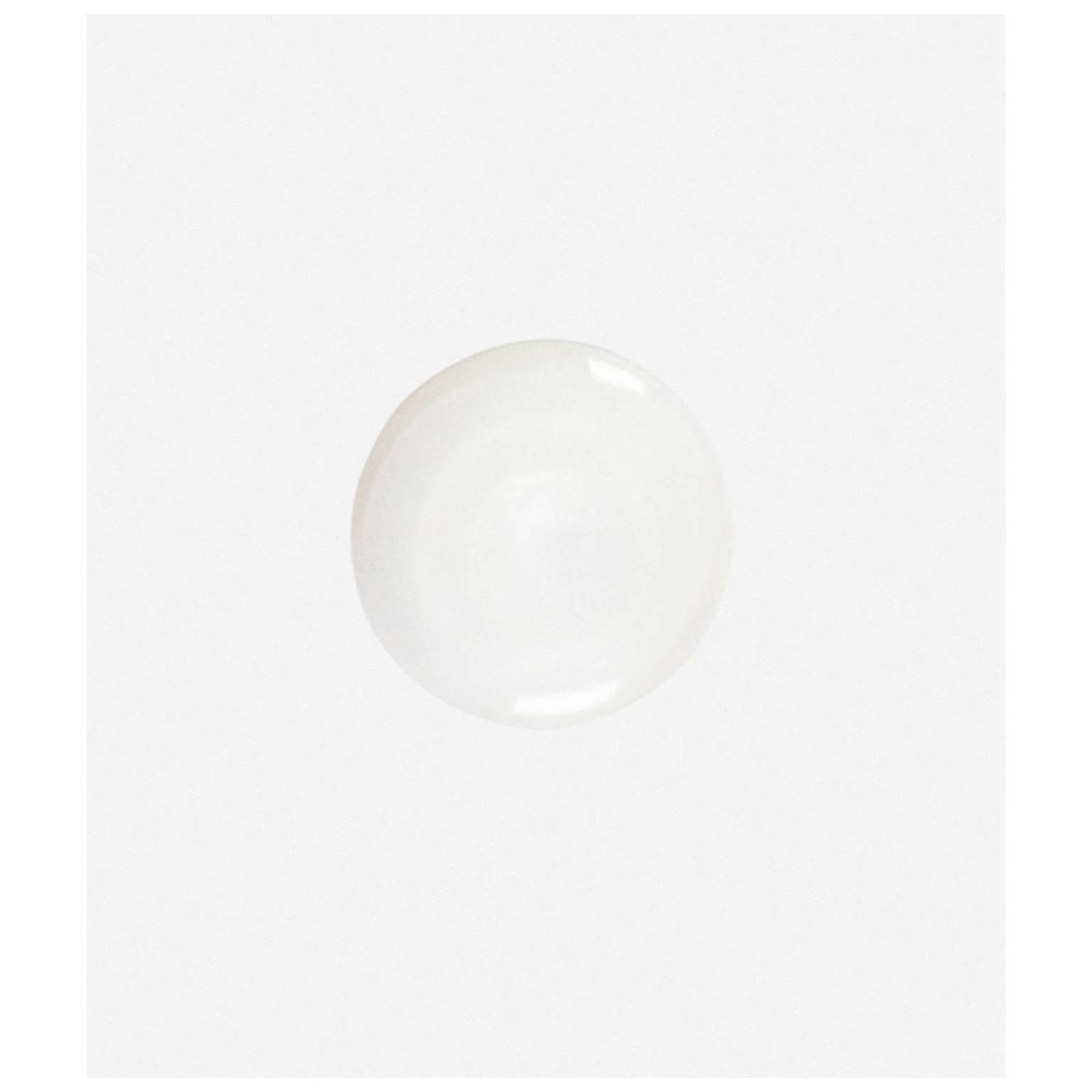 Kiehl's Sunflower Color Preserving Shampoo 250 ml Kiehl's Sunflower Color Preserving Shampoo 250 ml