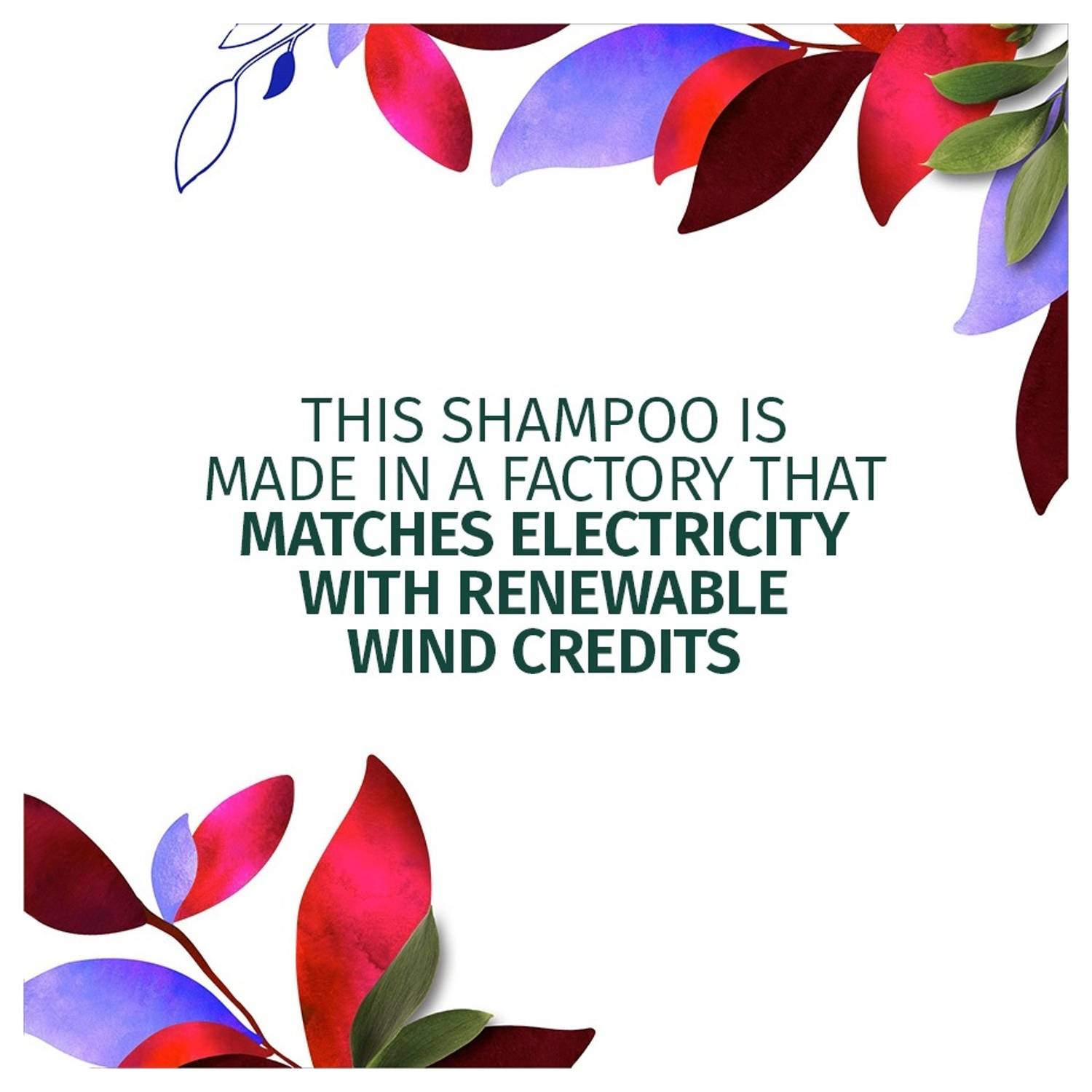 Herbal Essences Bio Renew Arabica Coffee Fruit Shampoo & Conditioner 400ml Herbal Essences Bio Renew Arabica Coffee Fruit Shampoo & Conditioner 400ml