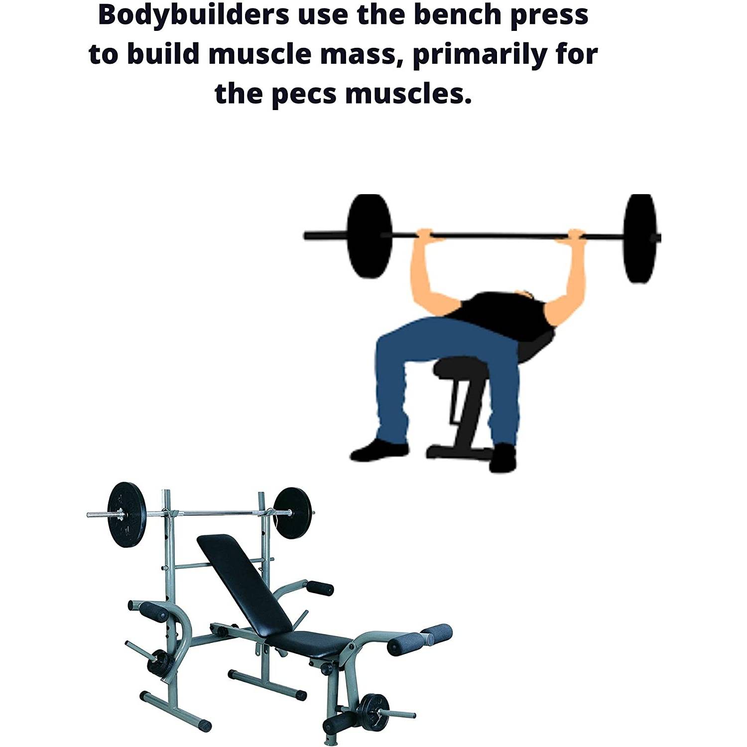 ULTIMAX Heavy Duty Multi Function Weight Bench for Unisex Adult Gym Home Exercise ULTIMAX Heavy Duty Multi Function Weight Bench for Unisex Adult Gym Home Exercise