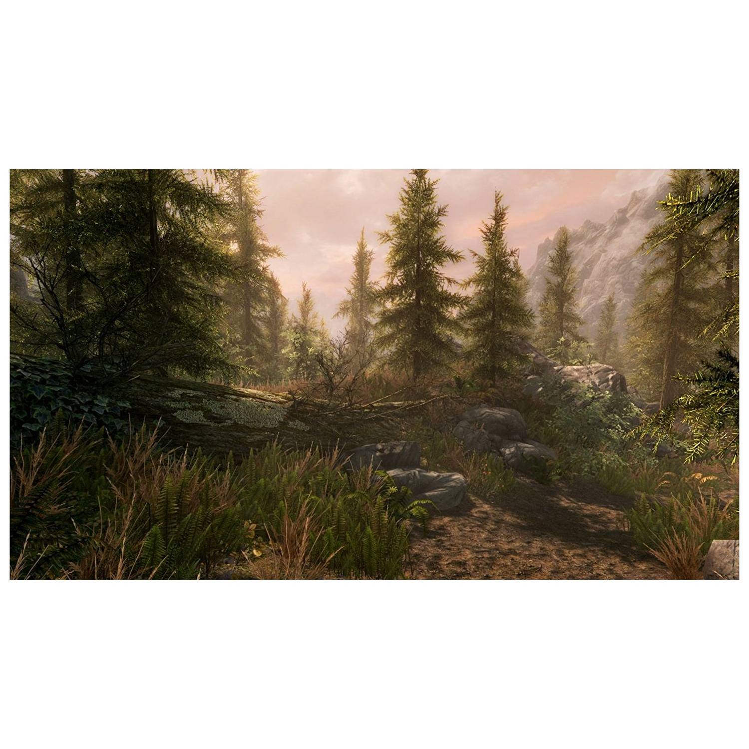 PS4 The Elder Scrolls V Skyrim VR Game PS4 The Elder Scrolls V Skyrim VR Game