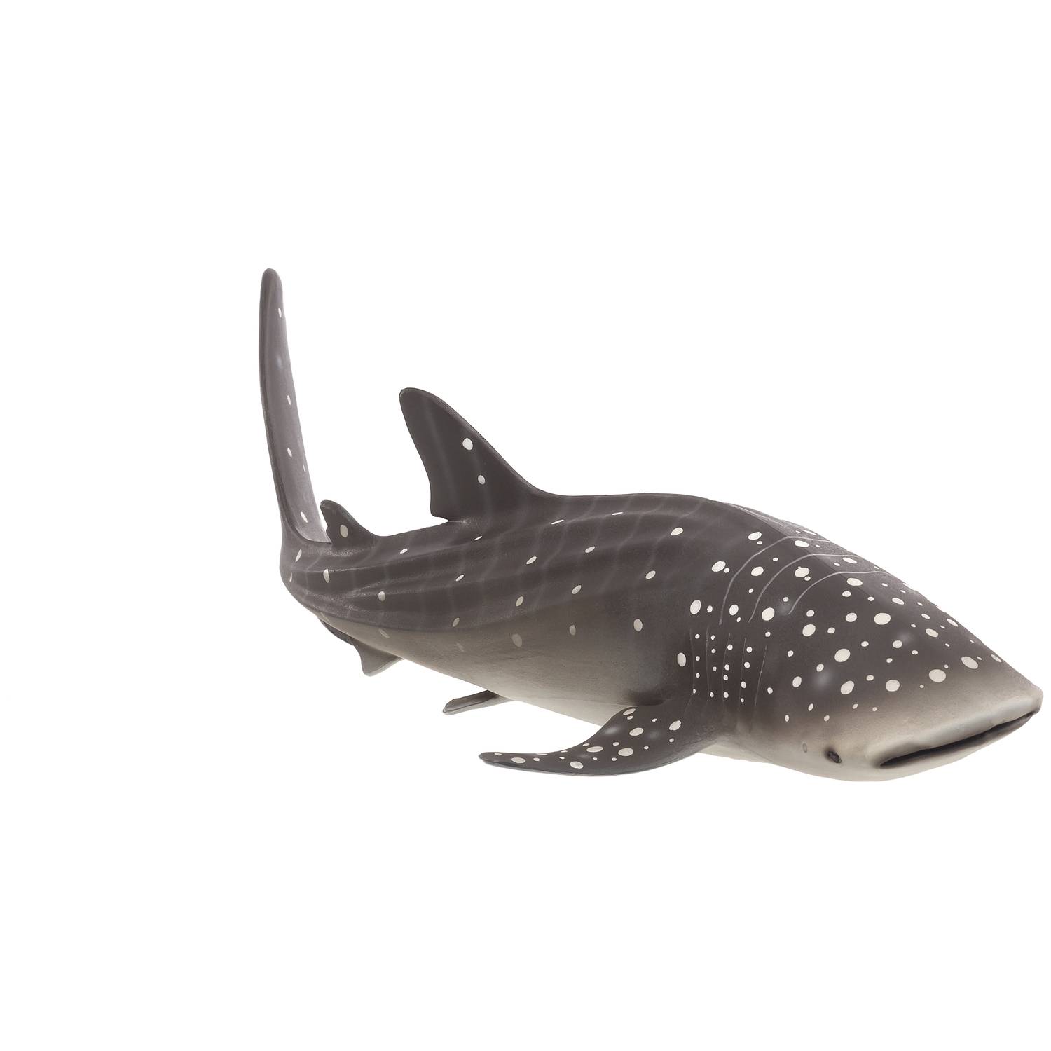 Mojo Animal Planet Whale Shark Deluxe I Figurine Mojo Animal Planet Whale Shark Deluxe I Figurine