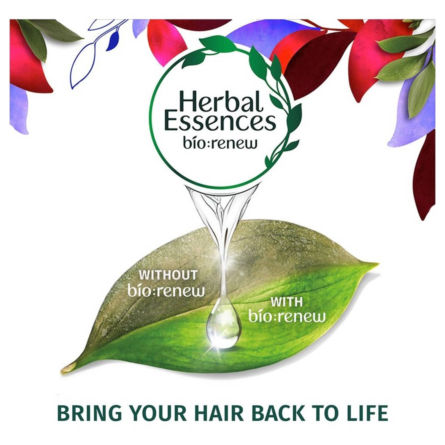 Herbal Essences Bio Renew Arabica Coffee Fruit Shampoo & Conditioner 400ml Herbal Essences Bio Renew Arabica Coffee Fruit Shampoo & Conditioner 400ml