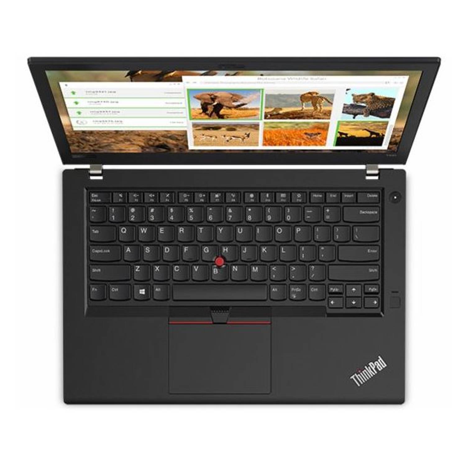 Lenovo Thinkpad T480 i7 8GB 128GB SSD + 1TB HDD Nvidia 2GB 14 Win10Pro Lenovo Thinkpad T480 i7 8GB 128GB SSD + 1TB HDD Nvidia 2GB 14 Win10Pro