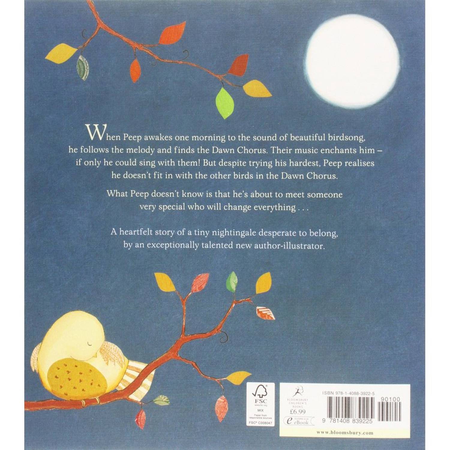 Suzanne Barton The Dawn Chorus Book 1st Edition Suzanne Barton The Dawn Chorus Book 1st Edition