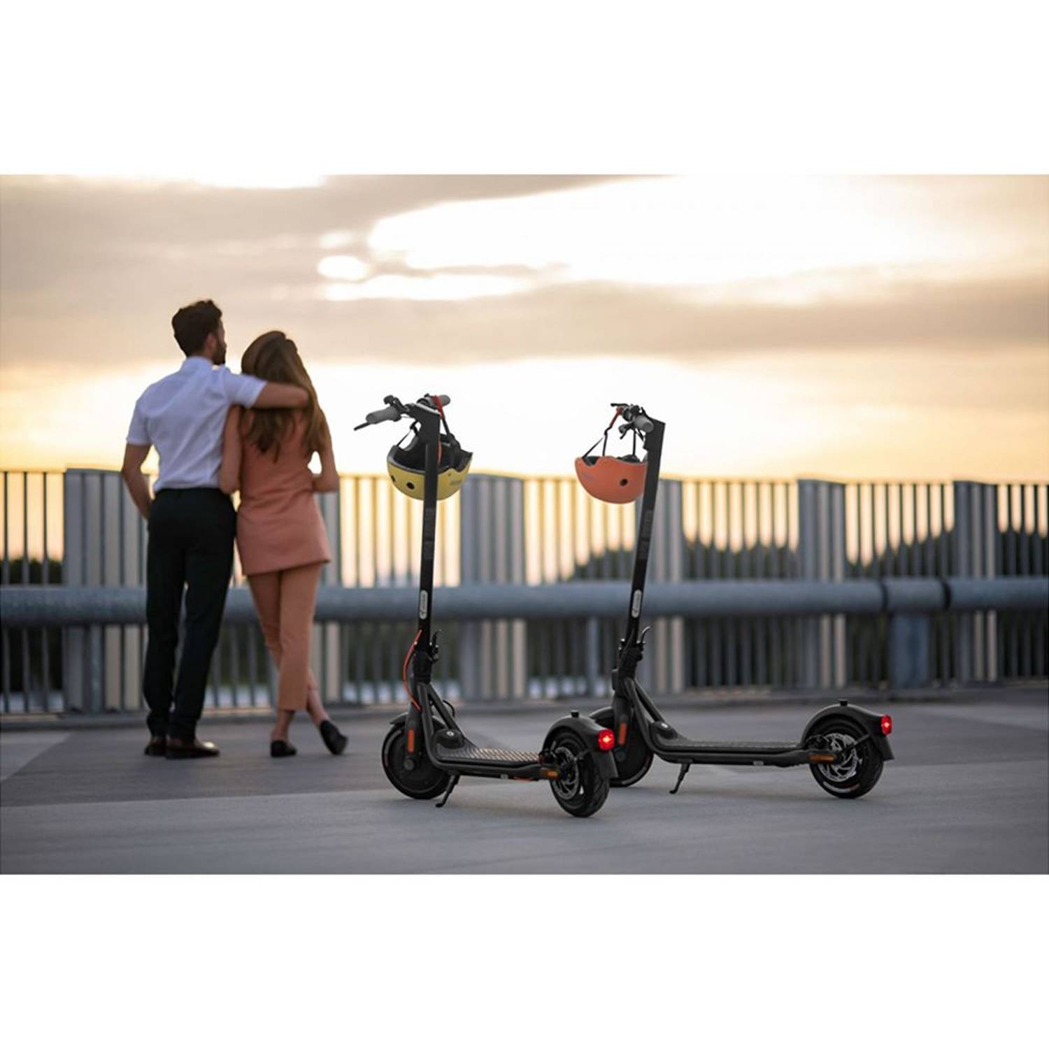 Ninebot F25E Kick Scooter Ninebot F25E Kick Scooter