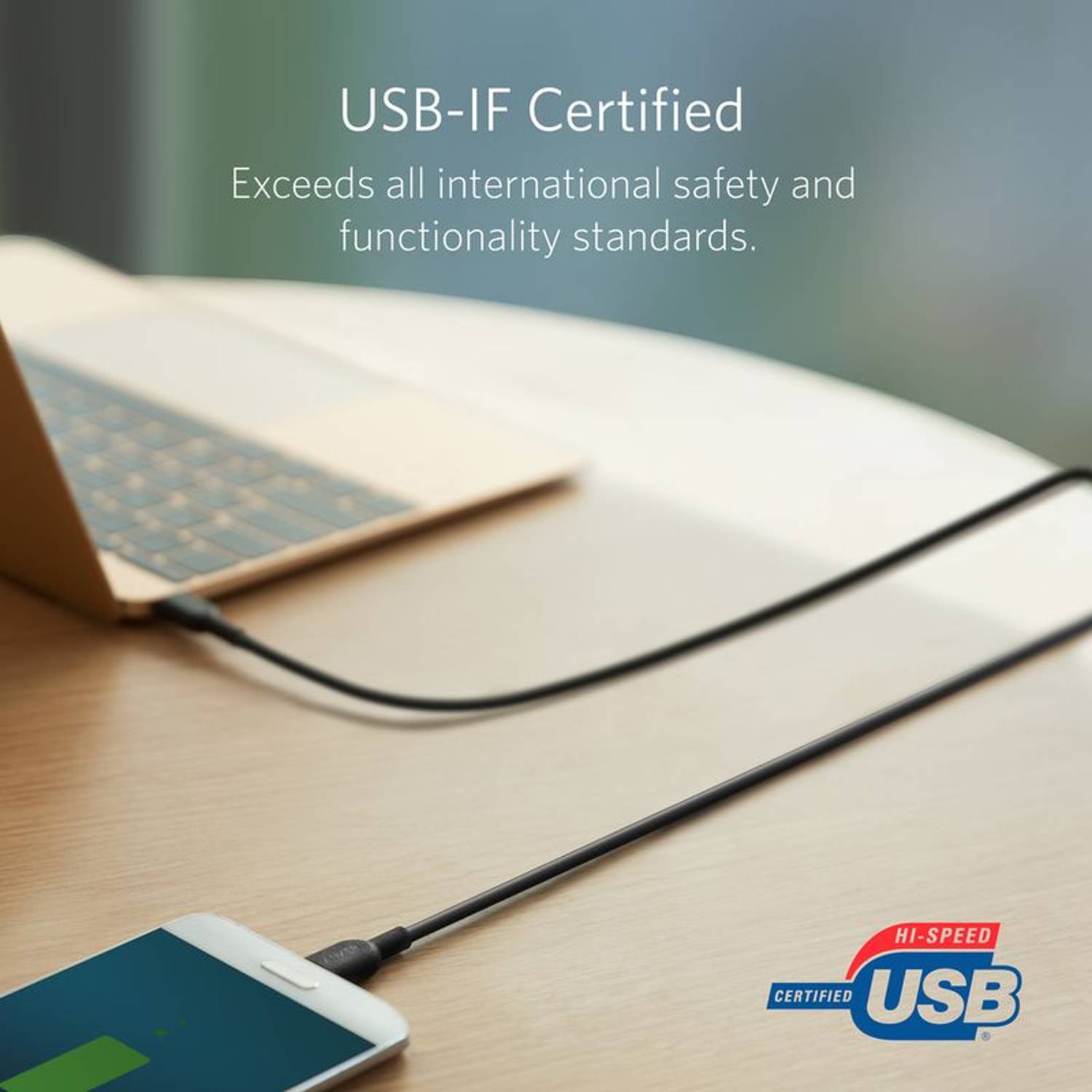 Anker Powerline+II USB C to A 2.0 Cable 6ft Black Anker Powerline+II USB C to A 2.0 Cable 6ft Black