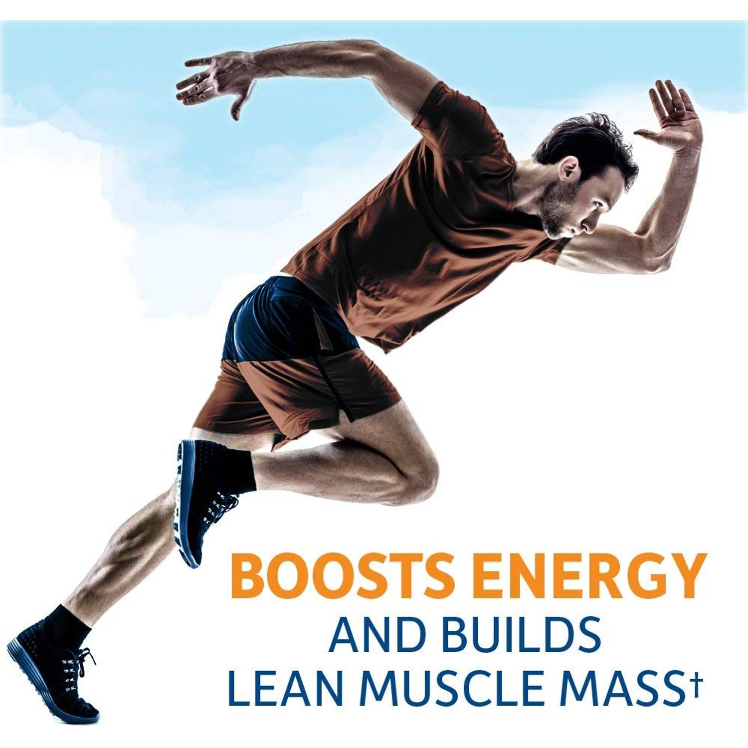 Garden Of Life Raw Organic Fit Protein Powder Chocolate Cacao 922g Garden Of Life Raw Organic Fit Protein Powder Chocolate Cacao 922g