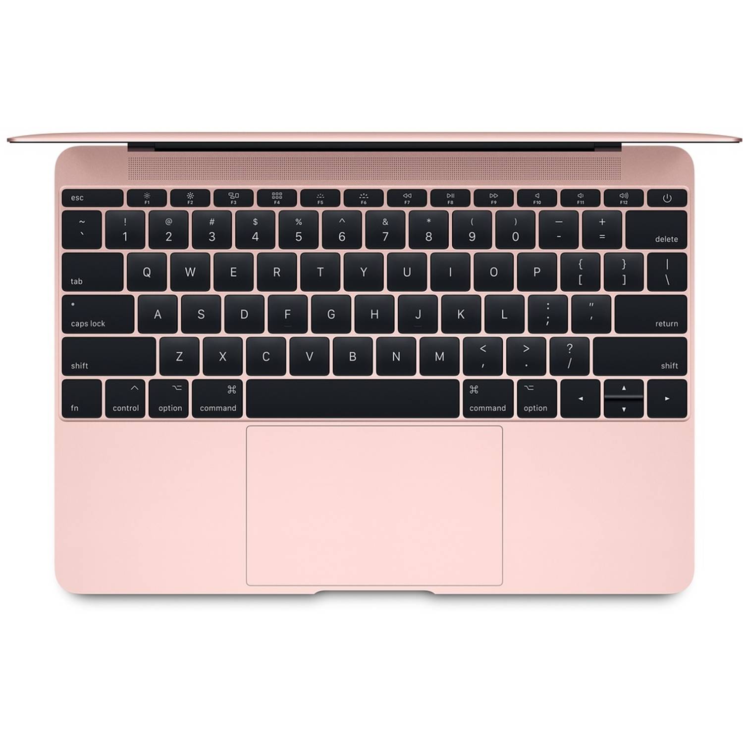 MacBook 12-inch (2015) - Core M 1.2GHz 8GB 512GB Shared Space Grey English/Arabic Keyboard MacBook 12-inch (2015) - Core M 1.2GHz 8GB 512GB Shared Space Grey English/Arabic Keyboard