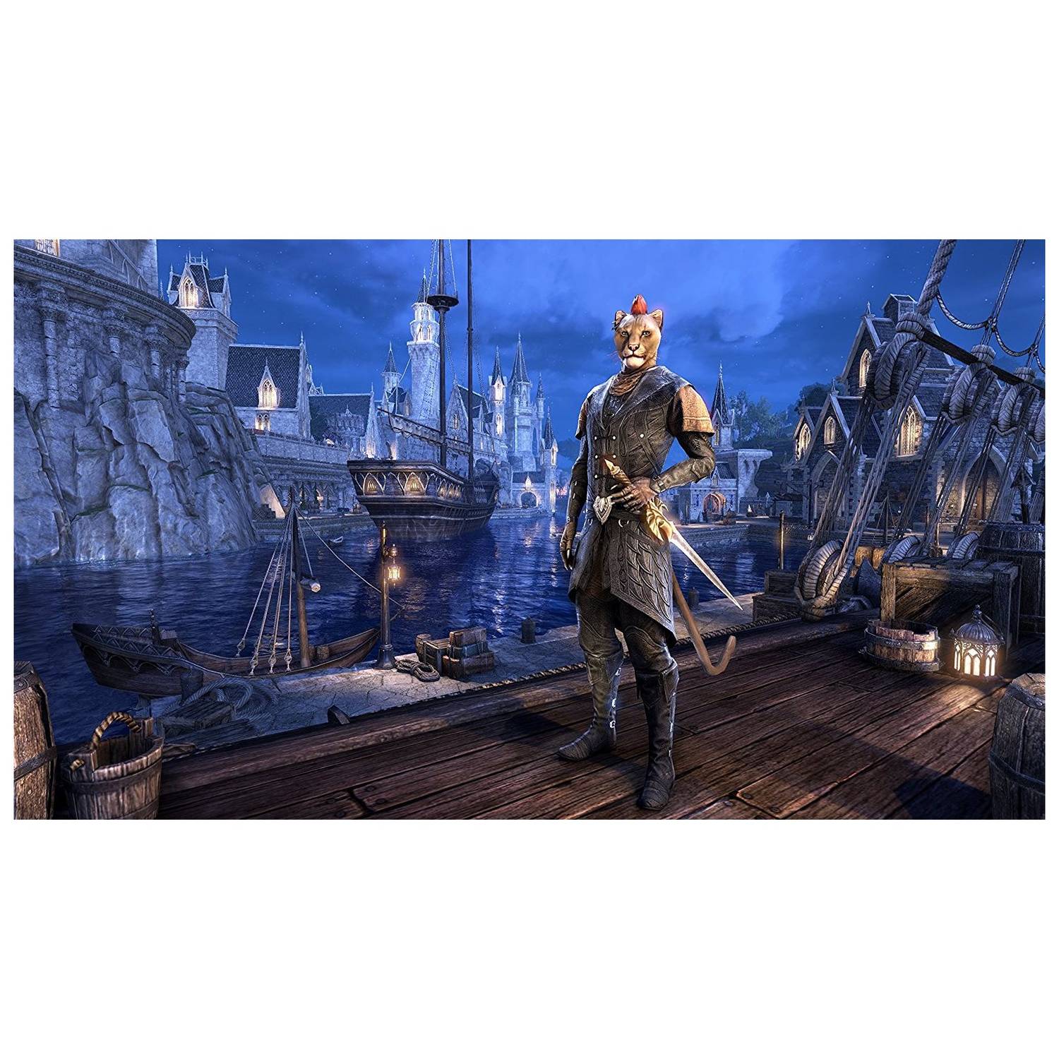 PS4 Elder Scrolls Online Summerset Game PS4 Elder Scrolls Online Summerset Game