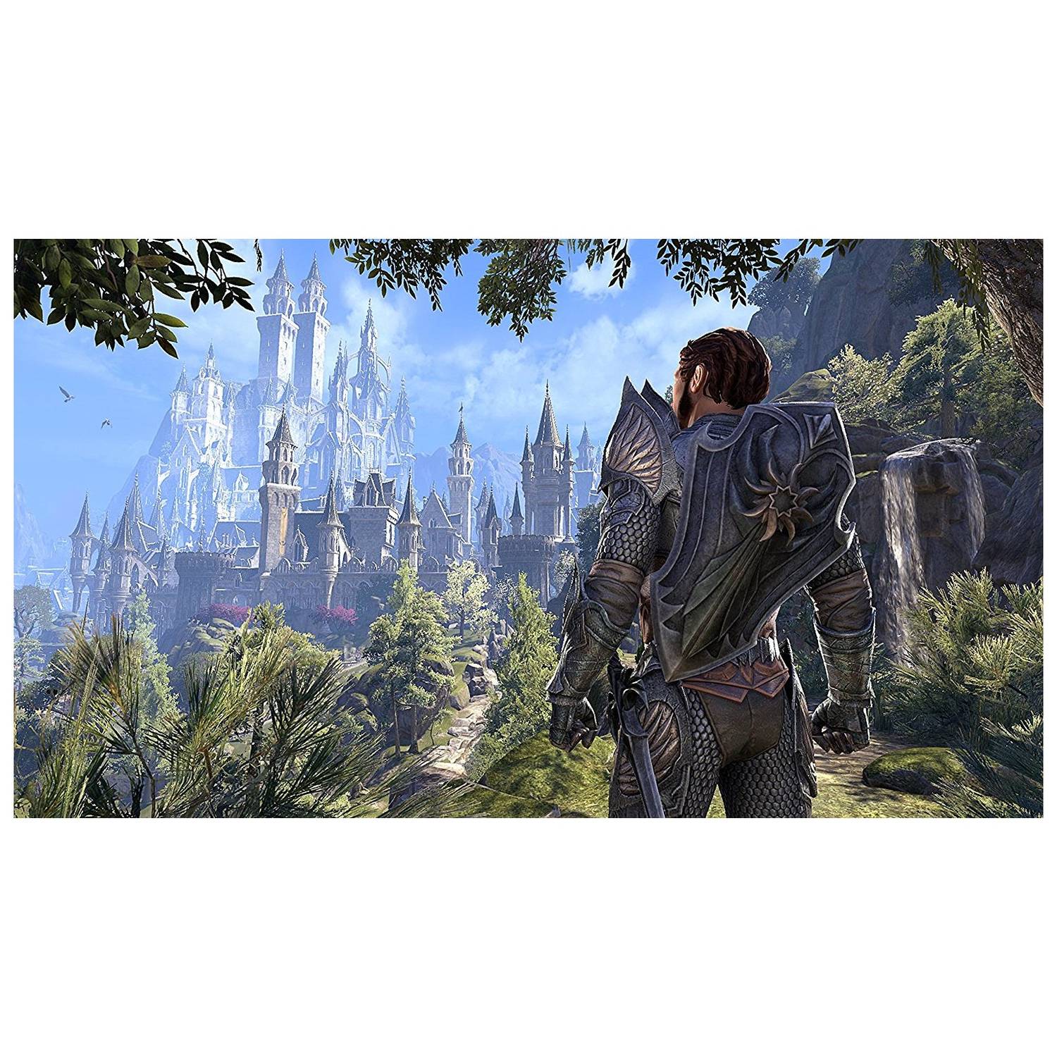 PS4 Elder Scrolls Online Summerset Game PS4 Elder Scrolls Online Summerset Game