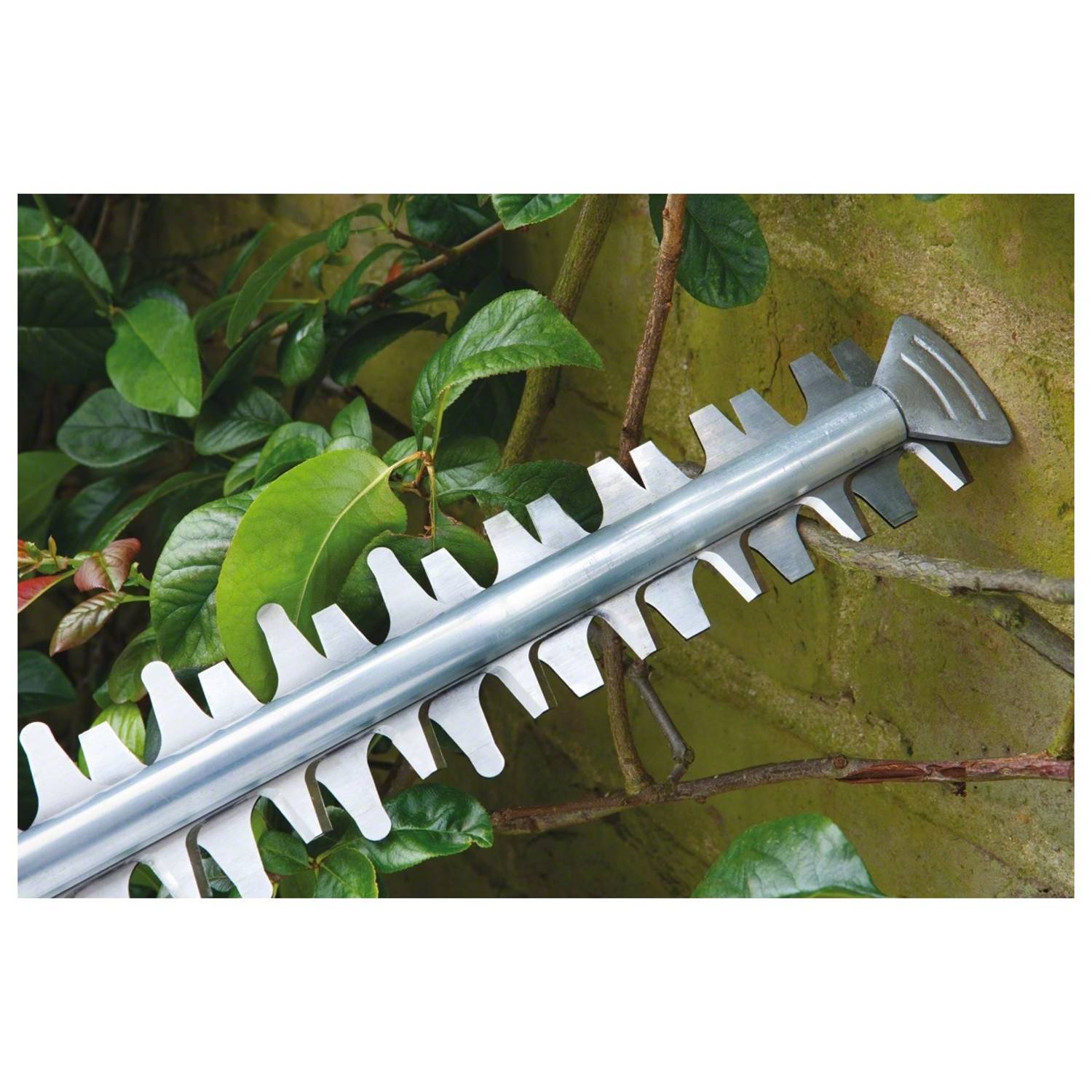 Bosch 0600847K70 AHS7034 Hedgecutter Bosch 0600847K70 AHS7034 Hedgecutter