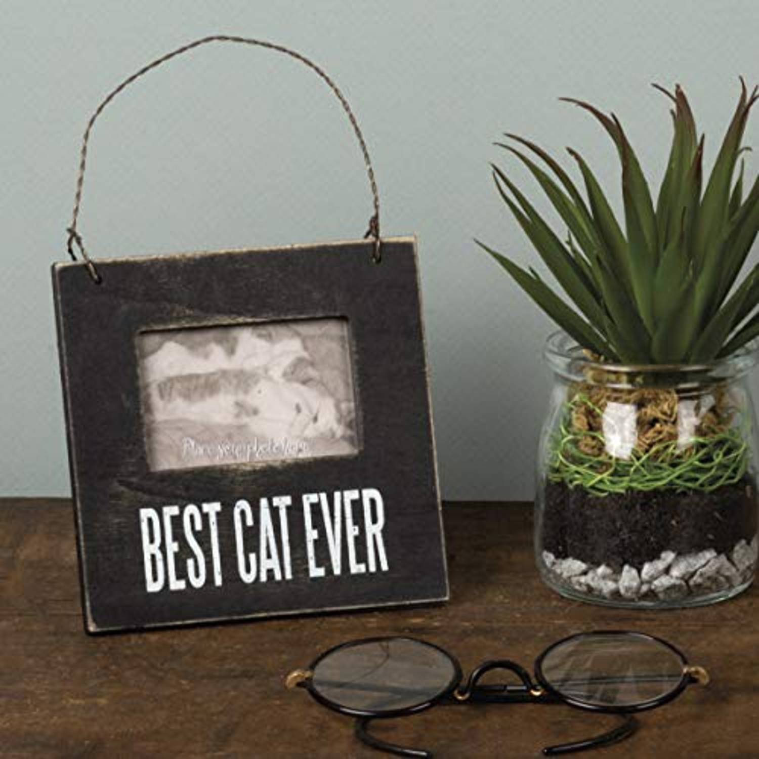 Primitives By Kathy Mini Box Frame, Mini Box Frame, Best Cat Primitives By Kathy Mini Box Frame, Mini Box Frame, Best Cat