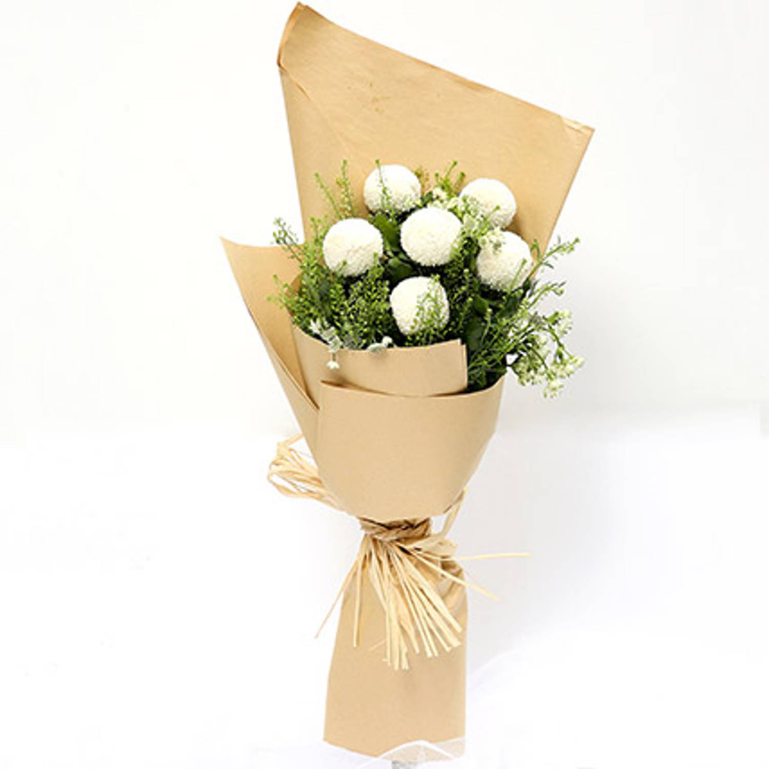 Elegant Bouquet Of White Ball Mums Elegant Bouquet Of White Ball Mums