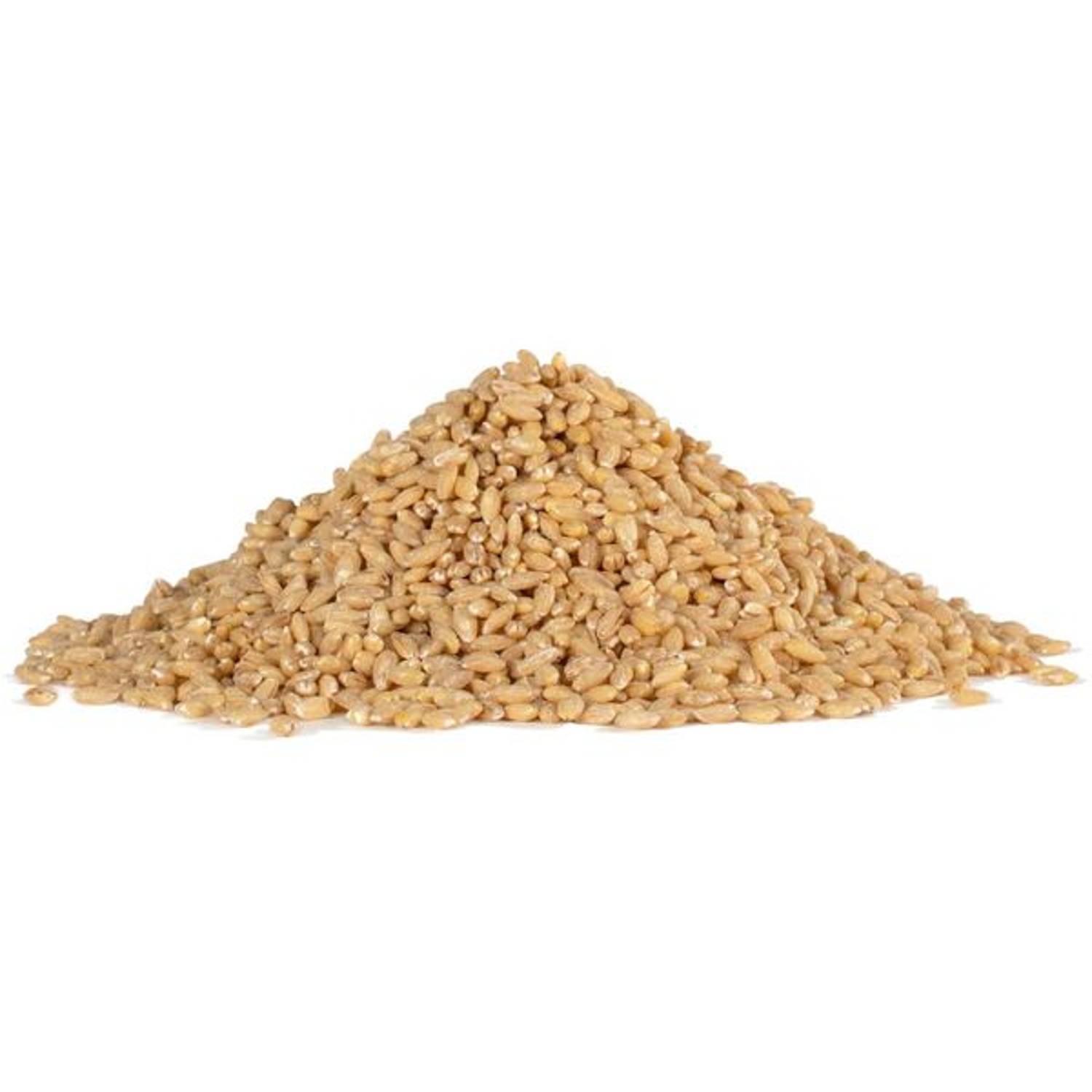 Bobs Red Mill Barley Pearl 850g Bobs Red Mill Barley Pearl 850g