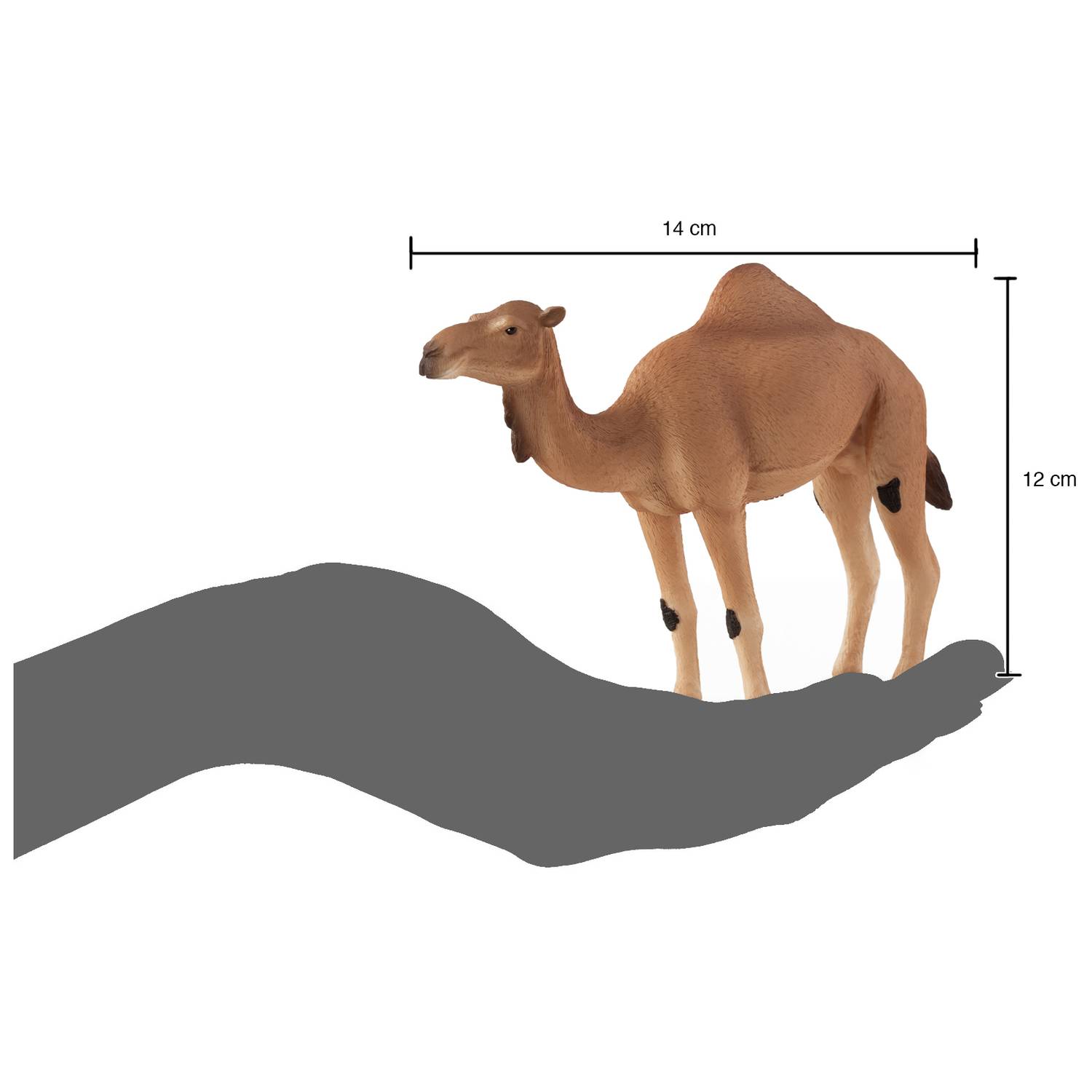 Mojo Animal Planet Arabian Camel New Colour 2017 XL Mojo Animal Planet Arabian Camel New Colour 2017 XL