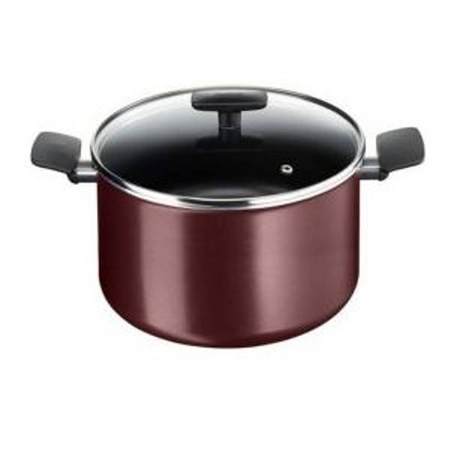Tefal Simplicity Stock Pot w/Lid 30 cm TFB305690 Tefal Simplicity Stock Pot w/Lid 30 cm TFB305690