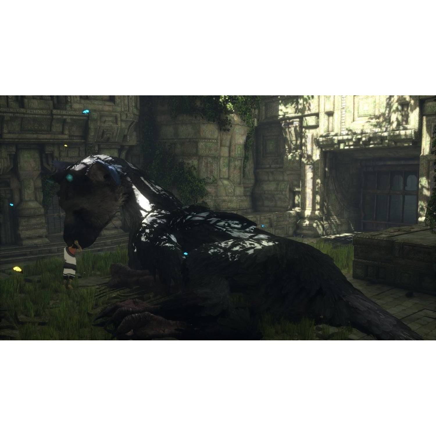 PS4 The Last Guardian Game PS4 The Last Guardian Game