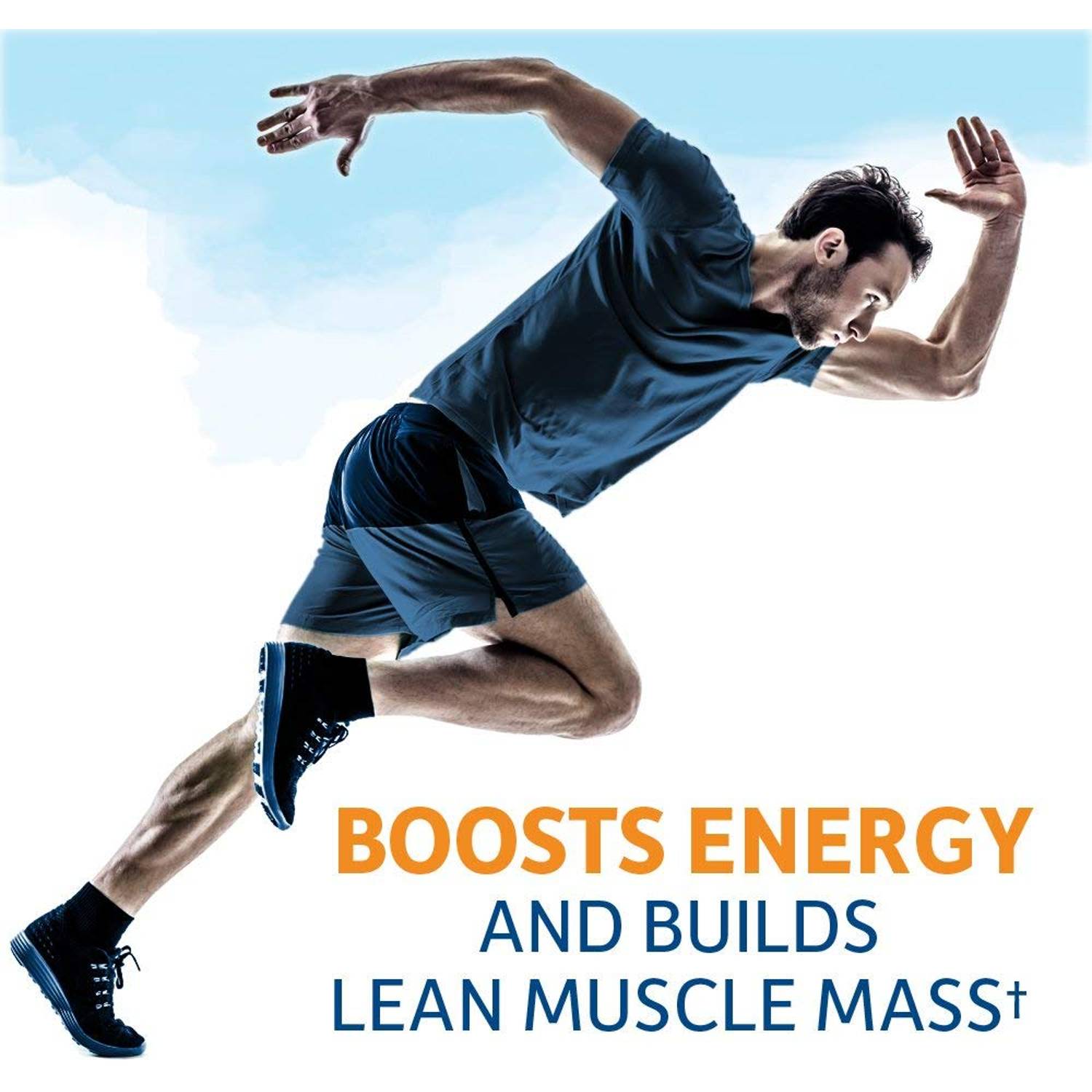 Garden Of Life Raw Organic Fit Protein Powder Vanilla 457g Garden Of Life Raw Organic Fit Protein Powder Vanilla 457g