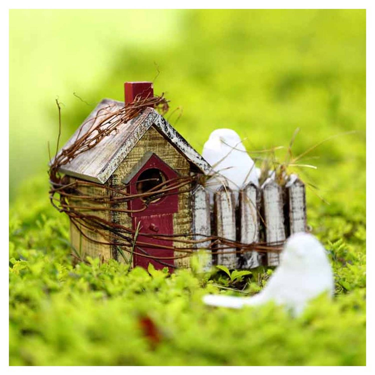 Wooden Bird House Décor Wooden Bird House Décor