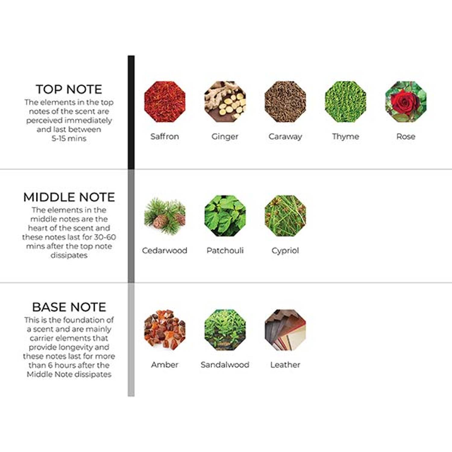 موزع بزيت عطري محمول وصغير الحجم، موزع هايدور مستوحى من بلاك بليس، 100 مل موزع بزيت عطري محمول وصغير الحجم، موزع هايدور مستوحى من بلاك بليس، 100 مل