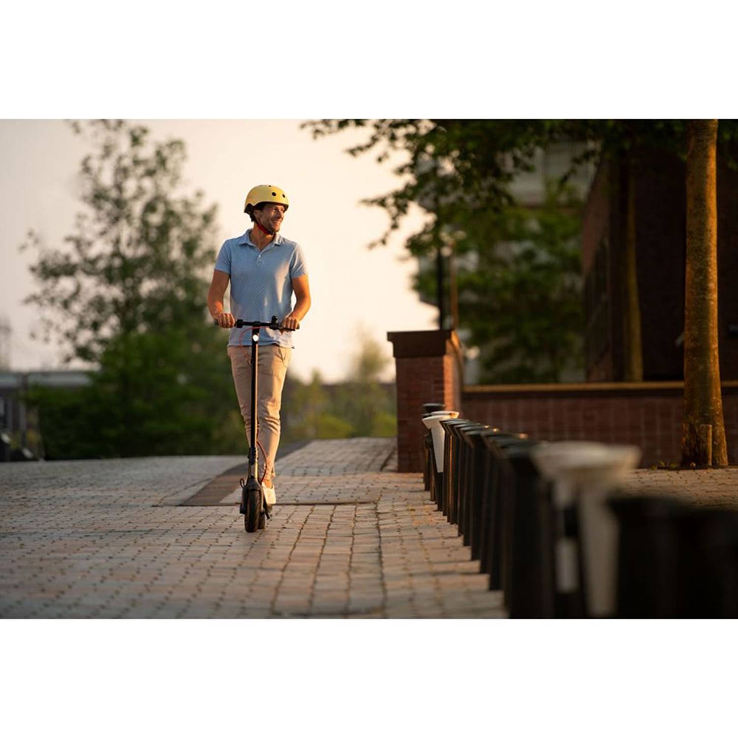 Ninebot F30E Kick Scooter Ninebot F30E Kick Scooter