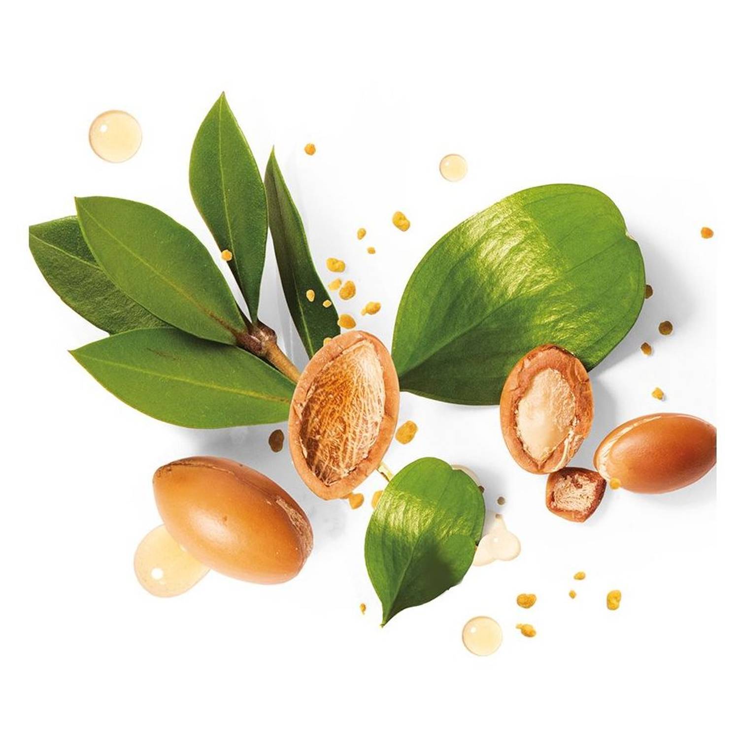 Herbal Essences Bio Renew Repair Argan Oil Of Morocco Shampoo & Conditioner 400ml Herbal Essences Bio Renew Repair Argan Oil Of Morocco Shampoo & Conditioner 400ml