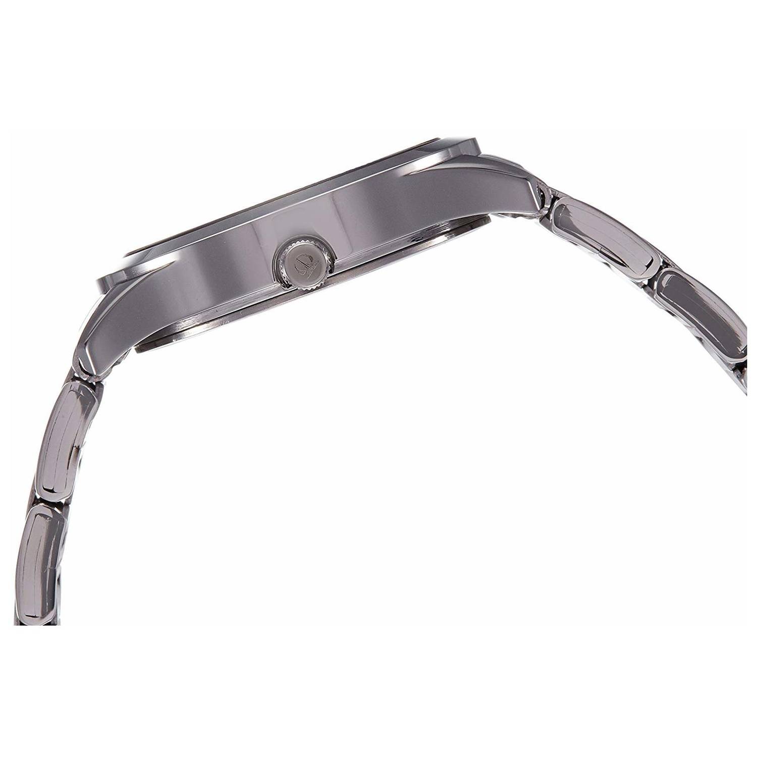 Titan 2570SM01 Ladies Watch Titan 2570SM01 Ladies Watch